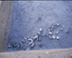 FileNo.139-009.jpg
