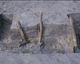 FileNo.139-159.jpg