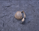 FileNo.139-245.jpg