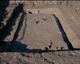 FileNo.139-247.jpg