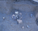 FileNo.139-275.jpg