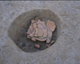 FileNo.139-276.jpg