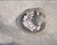 FileNo.139-277.jpg