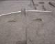 FileNo.139-289.jpg