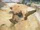 FileNo.153-005.jpg