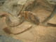FileNo.153-008.jpg