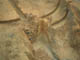 FileNo.153-009.jpg