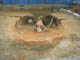 FileNo.153-011.jpg