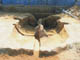 FileNo.153-012.jpg