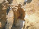FileNo.153-014.jpg