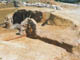 FileNo.153-015.jpg