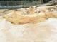FileNo.153-018.jpg