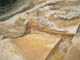 FileNo.153-020.jpg