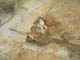 FileNo.153-023.jpg