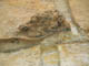 FileNo.153-024.jpg