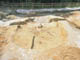 FileNo.153-026.jpg