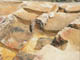 FileNo.153-029.jpg