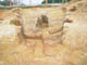 FileNo.153-031.jpg