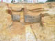 FileNo.153-036.jpg