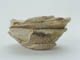 FileNo.153-056.jpg