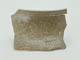 FileNo.153-093.jpg