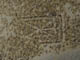 FileNo.153-115.jpg