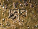 FileNo.153-126.jpg