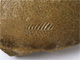 FileNo.153-128.jpg