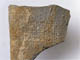 FileNo.153-130.jpg