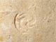 FileNo.153-134.jpg