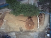 FileNo.22-194.jpg