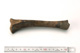 FileNo.138-bon00001.jpg
