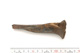FileNo.138-bon00008.jpg