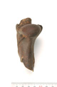 FileNo.138-bon00011.jpg