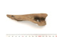 FileNo.138-bon00012.jpg