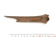 FileNo.138-bon00015.jpg