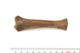FileNo.138-bon00016.jpg