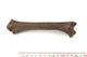 FileNo.138-bon00017.jpg