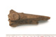 FileNo.138-bon00018.jpg