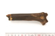 FileNo.138-bon00020.jpg