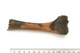 FileNo.138-bon00021.jpg