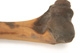FileNo.138-bon00022.jpg