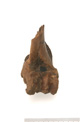 FileNo.138-bon00031.jpg
