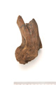 FileNo.138-bon00032.jpg