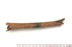 FileNo.138-bon00033.jpg