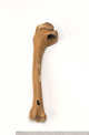 FileNo.138-bon00039.jpg