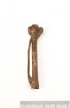 FileNo.138-bon00051.jpg