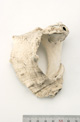 FileNo.138-bon00053.jpg