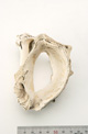 FileNo.138-bon00054.jpg