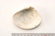 FileNo.138-bon00058.jpg